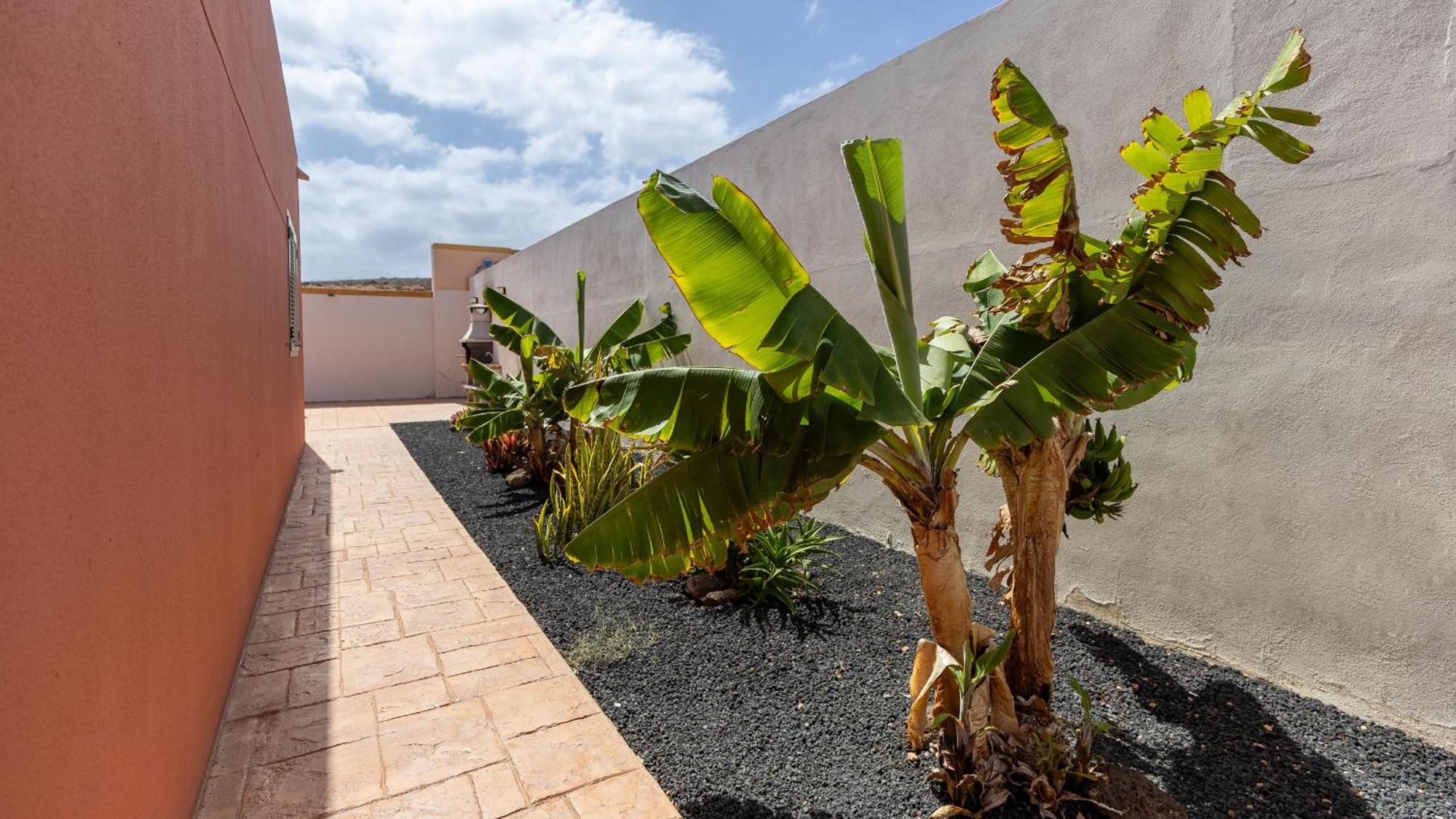 Villa Vento By Calima Villas Costa De Antigua Eksteriør billede