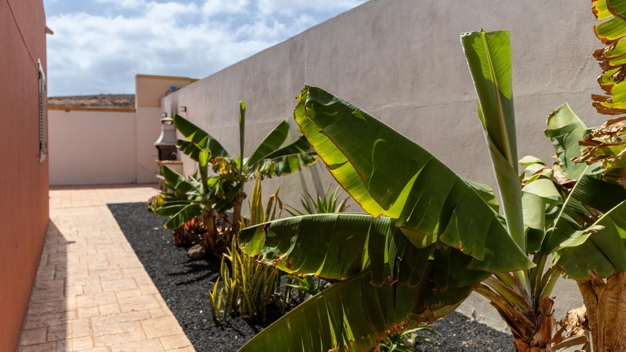 Villa Vento By Calima Villas Costa De Antigua Eksteriør billede